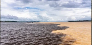 Povo Manaós e bacia do Amazonas guardam segredos sobre a origem do nome de Manaus