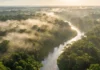 Como a queda histórica na destruição da Amazônia revela um novo e inesperado futuro para o clima global