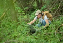 A jovem cientista do Sul que abandonou o conforto para desvendar e proteger os maiores segredos arbóreos da floresta amazônica