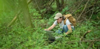 A jovem cientista do Sul que abandonou o conforto para desvendar e proteger os maiores segredos arbóreos da floresta amazônica