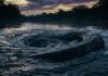 Como o mito amazônico da Cobra Grande esconde uma lição ancestral de sobrevivência e respeito à fúria dos rios