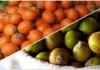 Tucumã supera cenoura em betacaroteno e move toneladas do fruto nas feiras de Belém