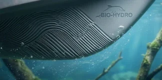 Golfinho mais adaptado das Américas inspira revestimento naval biomimético que reduz o arrasto e economiza combustível