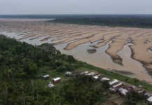 Rio mais volumoso do Brasil sofre vazante severa na seca e isola comunidades ribeirinhas inteiras na Amazônia