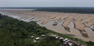 Rio mais volumoso do Brasil sofre vazante severa na seca e isola comunidades ribeirinhas inteiras na Amazônia