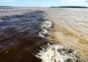 Como o rio Negro e a vegetação de igapó da Amazônia inibem criadouros de mosquitos e reduzem a malária