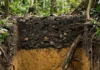 Como a terra preta amazônica e o carvão vegetal arqueológico sustentam a alta fertilidade e a agricultura sustentável no Brasil