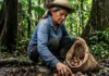 Como a árvore de andiroba e a vegetação de várzea impulsionam o extrativismo sustentável e criam repelentes naturais no Brasil