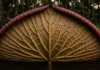 Descubra o segredo estrutural das folhas gigantes da vitória-régia que suportam peso e influenciaram a arquitetura mundial