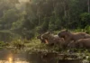 Como a complexa comunicação vocal das capivaras na Amazônia garante a união e a sobrevivência de grupos sociais estruturados