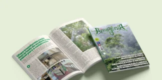 O Futuro da Floresta e o Clima Global na Amazônia 155 edição de Julho de 2026