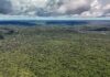 Rivais em campo, parceiros no clima. Noruega investe US$ 3 bi em fundo de florestas do Brasil Noruega investe US$ 3 bi em fundo de florestas do Brasil