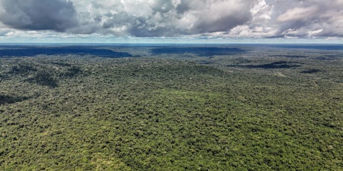 Noruega investe US$ 3 bi em fundo de florestas do Brasil Noruega investe US$ 3 bi em fundo de florestas do Brasil
