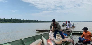 Prospera Amazônia vai investir R$ 30 milhões no Amazonas Prospera Amazônia vai investir R$ 30 milhões no Amazonas