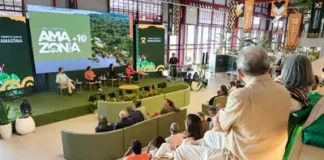Pará lança edital de R$ 102 milhões para bioeconomia amazônica Pará lança edital de R$ 102 milhões para bioeconomia amazônica
