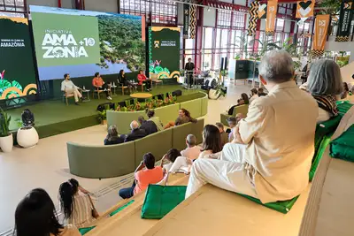 Pará lança edital de R$ 102 milhões para bioeconomia amazônica Pará lança edital de R$ 102 milhões para bioeconomia amazônica