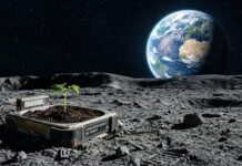 Agricultura espacial avança como eixo estratégico no Brasil Agricultura espacial avança como eixo estratégico no Brasil