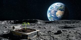 Agricultura espacial avança como eixo estratégico no Brasil Agricultura espacial avança como eixo estratégico no Brasil