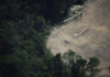Fundo global de proteção à floresta tropical pode fracassar sem apoio do Reino Unido Fundo global de proteção à floresta tropical pode fracassar sem apoio do Reino Unido