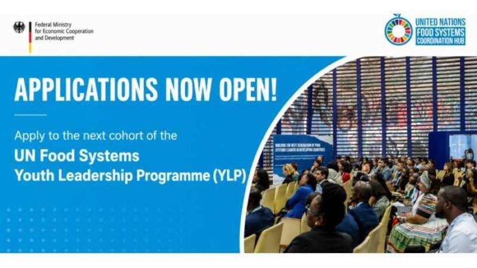 ONU abre inscrições para programa de liderança jovem em sistemas alimentares ONU abre inscrições para programa de liderança jovem em sistemas alimentares