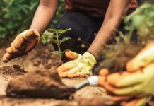 ONU alerta atraso da Agenda 2030: Metas de ODS aquém do esperado ONU alerta atraso da Agenda 2030: Metas de ODS aquém do esperado