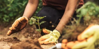 ONU alerta atraso da Agenda 2030: Metas de ODS aquém do esperado ONU alerta atraso da Agenda 2030: Metas de ODS aquém do esperado
