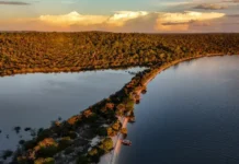 Bioeconomia transforma floresta em renda no Baixo Amazonas e impulsiona inovação Bioeconomia transforma floresta em renda no Baixo Amazonas e impulsiona inovação