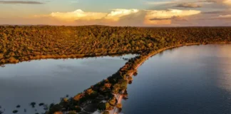 Bioeconomia transforma floresta em renda no Baixo Amazonas e impulsiona inovação Bioeconomia transforma floresta em renda no Baixo Amazonas e impulsiona inovação
