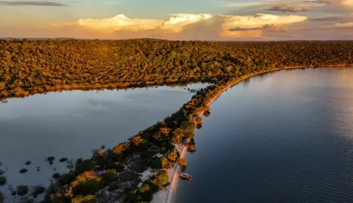 Bioeconomia transforma floresta em renda no Baixo Amazonas e impulsiona inovação
