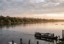Amazônia surpreende e recupera água após seca severa, aponta MapBiomas Amazônia surpreende e recupera água após seca severa, aponta MapBiomas