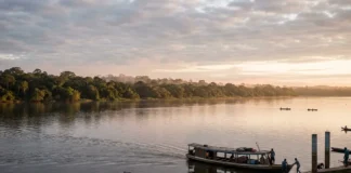 Amazônia surpreende e recupera água após seca severa, aponta MapBiomas Amazônia surpreende e recupera água após seca severa, aponta MapBiomas