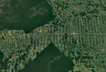 Desmatamento na Amazônia: Julho pode cravar menor taxa em uma década Desmatamento na Amazônia: Julho pode cravar menor taxa em uma década