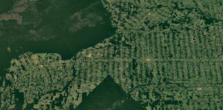 Desmatamento na Amazônia: Julho pode cravar menor taxa em uma década Desmatamento na Amazônia: Julho pode cravar menor taxa em uma década