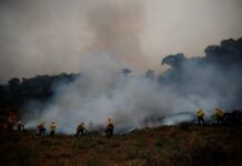 Fumaça de queimadas pode causar 1,4 milhão de mortes anuais até 2100 Fumaça de queimadas pode causar 1,4 milhão de mortes anuais até 2100