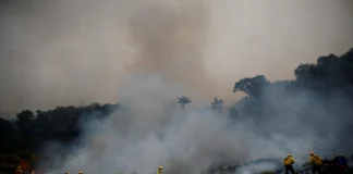 Fumaça de queimadas pode causar 1,4 milhão de mortes anuais até 2100 Fumaça de queimadas pode causar 1,4 milhão de mortes anuais até 2100