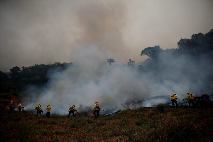 Fumaça de queimadas pode causar 1,4 milhão de mortes anuais até 2100 Fumaça de queimadas pode causar 1,4 milhão de mortes anuais até 2100