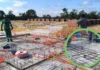 Caroço de tucumã vira bioplástico para construção civil na Amazônia Caroço de tucumã vira bioplástico para construção civil na Amazônia