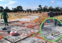 Caroço de tucumã vira bioplástico para construção civil na Amazônia Caroço de tucumã vira bioplástico para construção civil na Amazônia