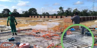 Caroço de tucumã vira bioplástico para construção civil na Amazônia Caroço de tucumã vira bioplástico para construção civil na Amazônia