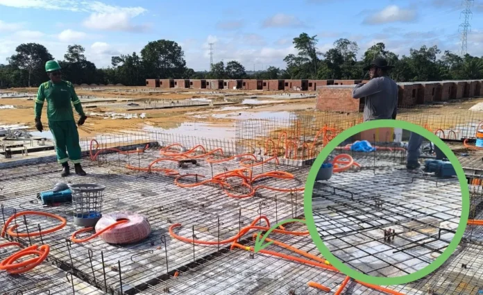 Caroço de tucumã vira bioplástico para construção civil na Amazônia