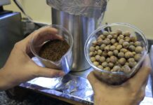 UFPA desenvolve bioasfalto de caroço de açaí: inovação sustentável UFPA desenvolve bioasfalto de caroço de açaí: inovação sustentável