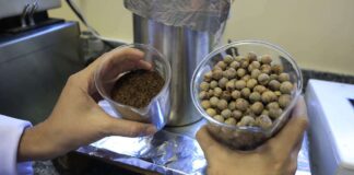 UFPA desenvolve bioasfalto de caroço de açaí: inovação sustentável UFPA desenvolve bioasfalto de caroço de açaí: inovação sustentável