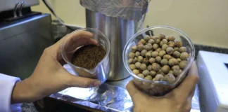 UFPA desenvolve bioasfalto de caroço de açaí: inovação sustentável UFPA desenvolve bioasfalto de caroço de açaí: inovação sustentável