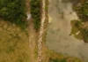 Congresso ameaça Amazônia: 555 mil hectares de áreas protegidas em risco