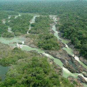 Senado aprova redução de 40% em floresta no Pará e gera polêmica Senado aprova redução de 40% em floresta no Pará e gera polêmica