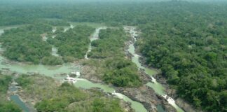 Senado aprova redução de 40% em floresta no Pará e gera polêmica Senado aprova redução de 40% em floresta no Pará e gera polêmica