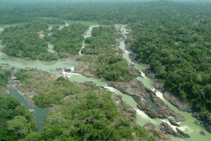 Senado aprova redução de 40% em floresta no Pará e gera polêmica Senado aprova redução de 40% em floresta no Pará e gera polêmica