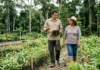 Ibama abre chamamento para projetos de recuperação florestal Ibama abre chamamento para projetos de recuperação florestal
