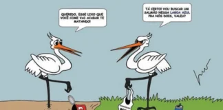 Duende Lucas usa humor para ensinar crianças a cuidar da Amazônia e do planeta Duende Lucas usa humor para ensinar crianças a cuidar da Amazônia e do planeta
