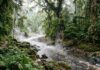 Rio Fervente da Amazônia: Segredos Aquecidos a Quase 100°C Rio Fervente da Amazônia: Segredos Aquecidos a Quase 100°C